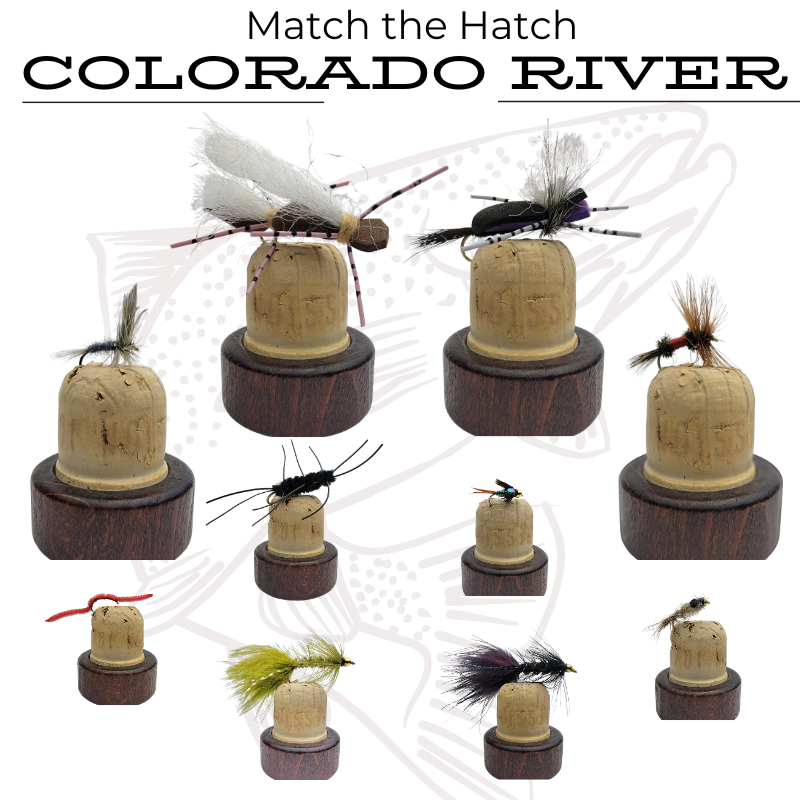 Match the Hatch Fly Boxes | Small Batch Fly Fishing Flies for Colorado