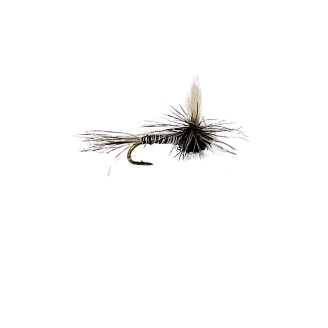 Black Mosquito Dry Fly