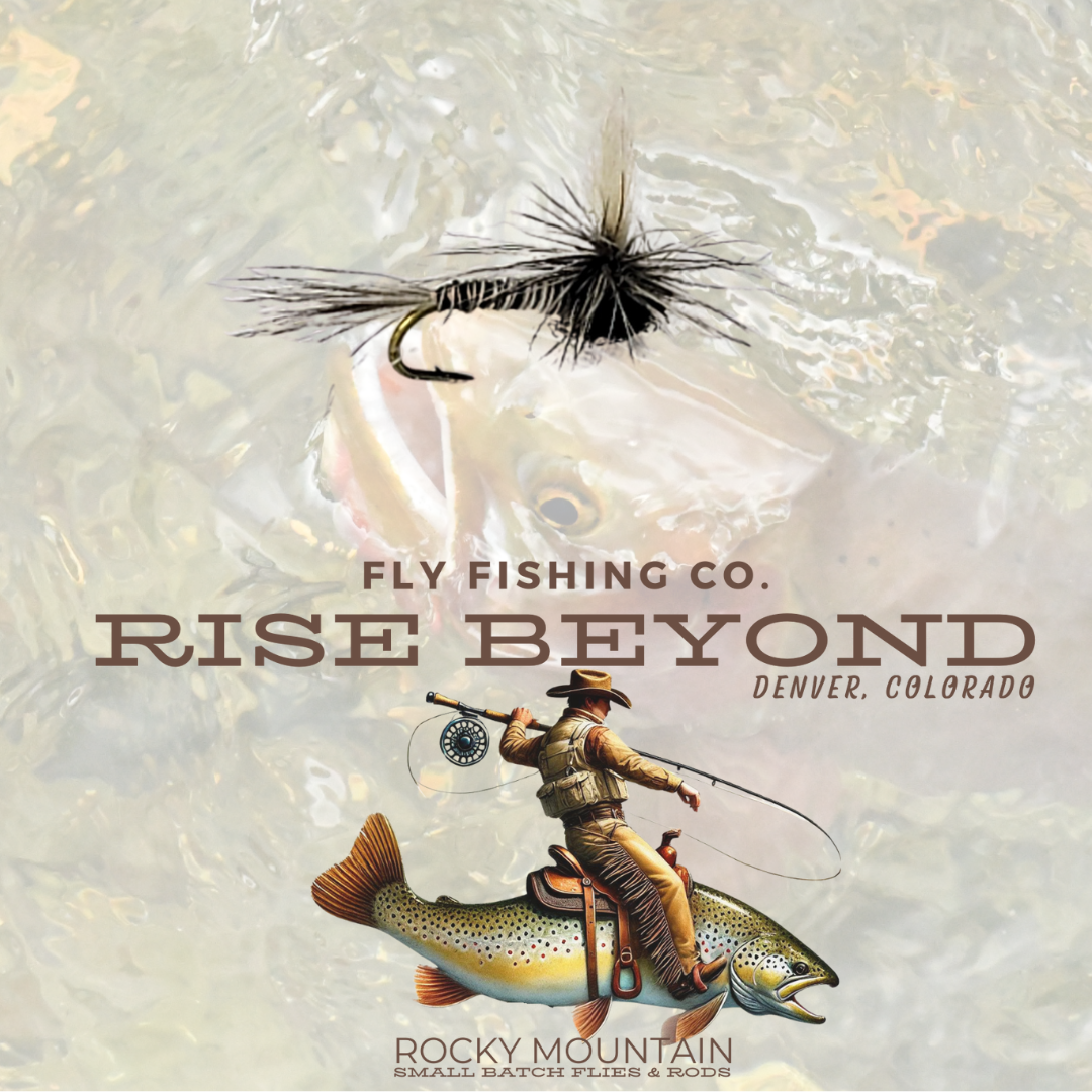 Black Mosquito Dry Fly