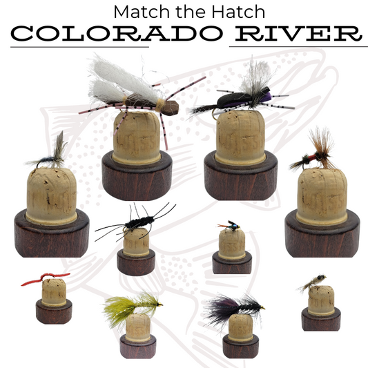 Colorado River Match the Hatch Fly Box | Small Batch Fly Fishing Flies