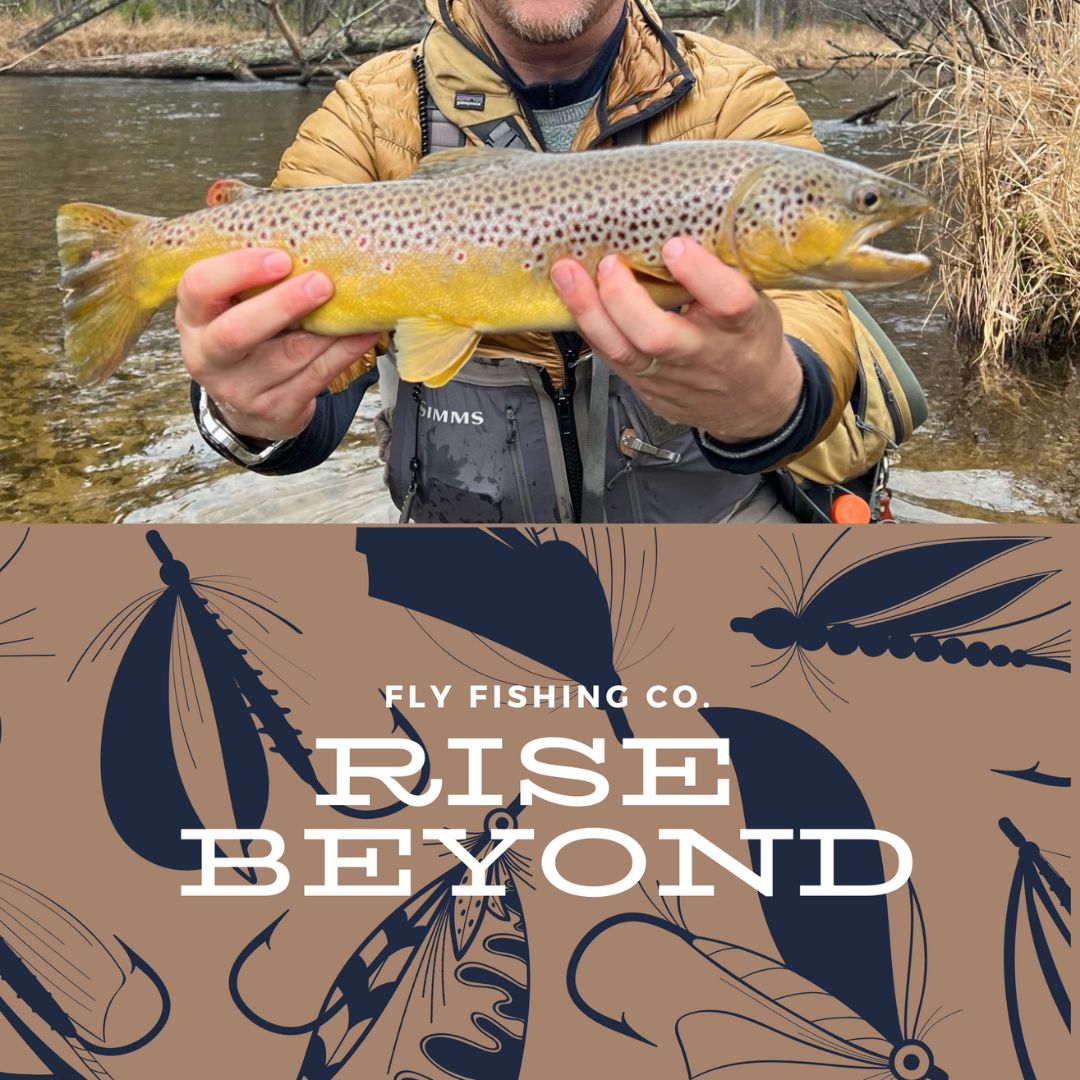 Royal Wulff Dry Fly (Single)
